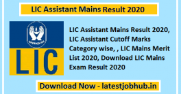 LIC Assistant Result 2020