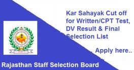 RSMSSB Tax Assistant Final Selection List 2020