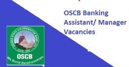 OSCB Banking Assistant Recruitment