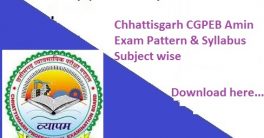 Chhattisgarh Amin Exam Syllabus