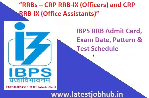 Ibps Rrb Office Assistant Admit Card 2021 Officer Exam Date