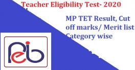 MP Primary Teacher TET Result 2022