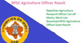 RPSC Agriculture Officer Result 2024