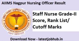 AIIMS Nagpur Nursing Officer Result 2022