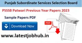 Punjab Patwari Previous Year Papers 2023