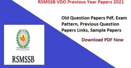 RSMSSB VDO Previous Year Papers 2021