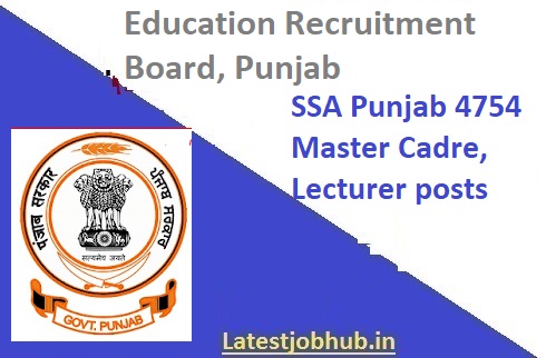 ERB Punjab Lecturer Vacancy