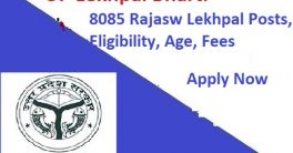 UP Lekhpal Recruitment 2024 Online Form