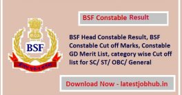 BSF Constable GD Result 2024