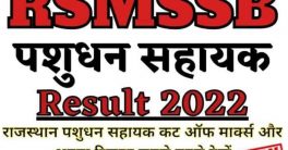 RSMSSB LSA Result 2022