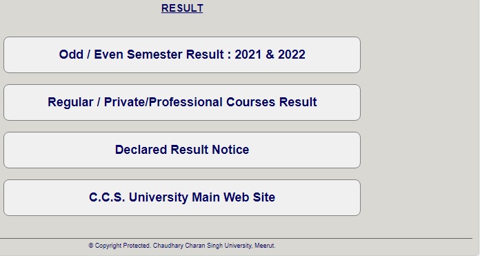 CCS University Result 2023 