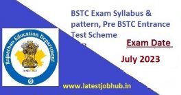 Rajasthan BSTC Syllabus 2023