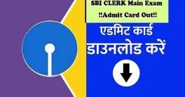 SBI Clerk Mains Hall Ticket