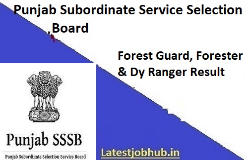 Punjab SSSB Forester Result