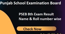 Punjab Board 8th Exam Score