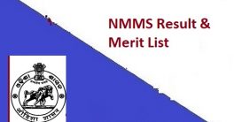 Odisha NMMS Scholarship Result 2023