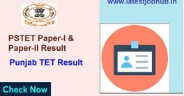 Punjab TET Paper 2 Cutoff