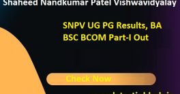 SNPV BA BSC BCOM Results