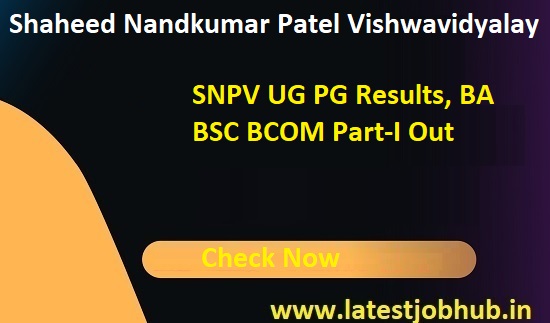 SNPV BA BSC BCOM Results